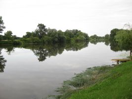 Labe 20 mezi Lysou a Kerskem-12.7.09 (3).JPG